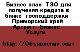 Бизнес-план, ТЭО для получения кредита в банке, господдержки - Приморский край, Артем г. Бизнес » Услуги   